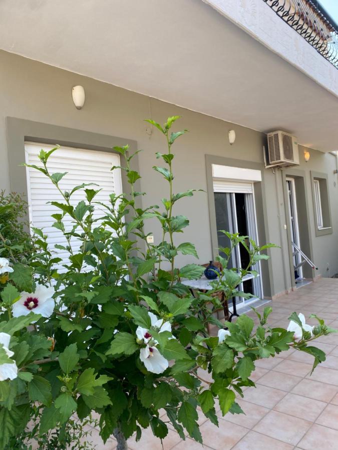 Ilisia Neapoli Apartments 1 Neapoli Voion Exterior photo
