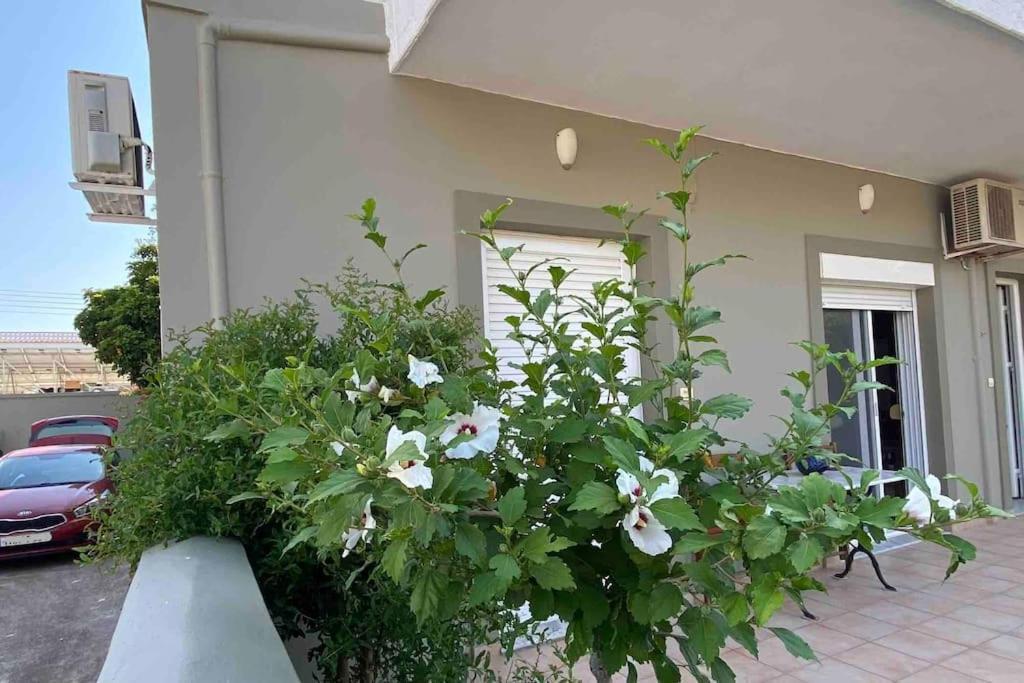 Ilisia Neapoli Apartments 1 Neapoli Voion Exterior photo